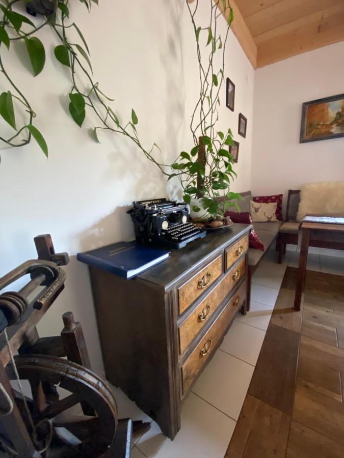 Agroturystyka Sarni Stok Krynica Zdroj Bagian luar foto