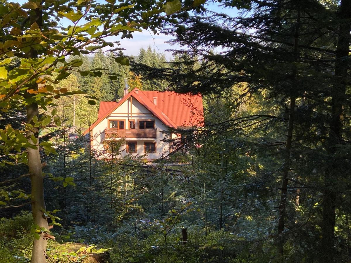Agroturystyka Sarni Stok Krynica Zdroj Bagian luar foto